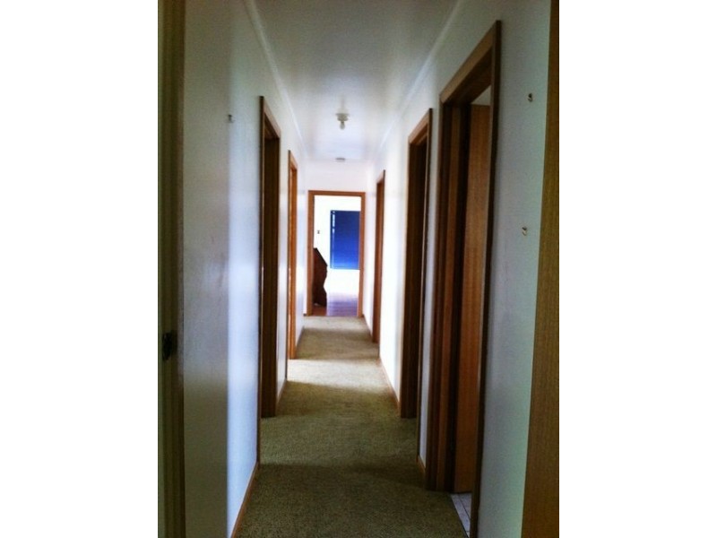 11 Bridview Place, Bridport TAS 7262