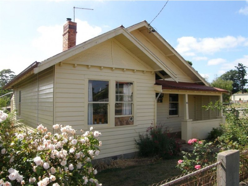 46 Winnaleah Road, Winnaleah TAS 7265