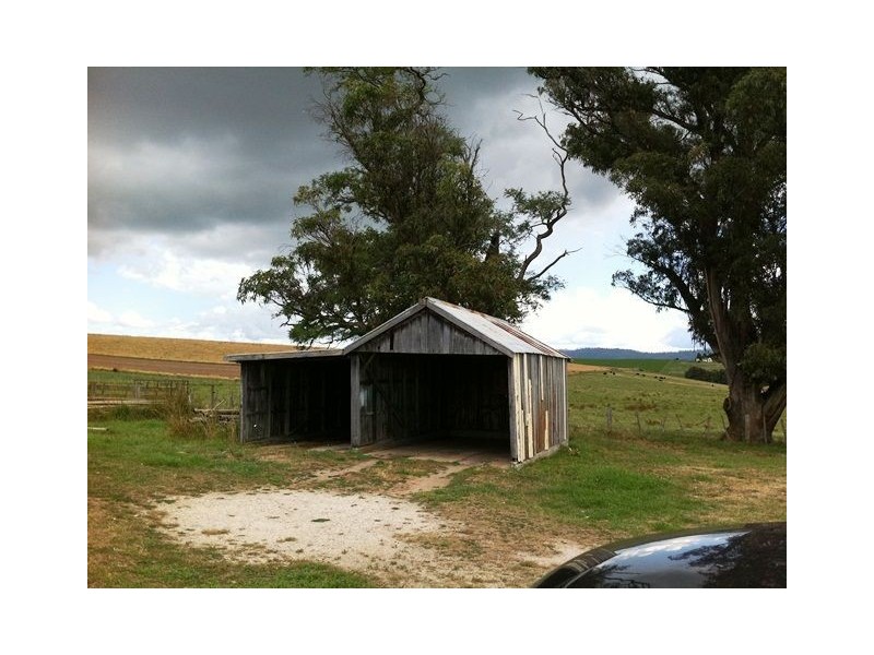 299 Bridport Road, Scottsdale TAS 7260