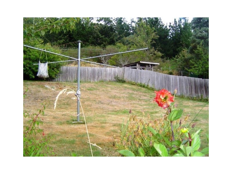 6 Christopher St, Derby TAS 7264