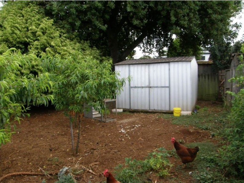 18 Victoria Street, Scottsdale TAS 7260