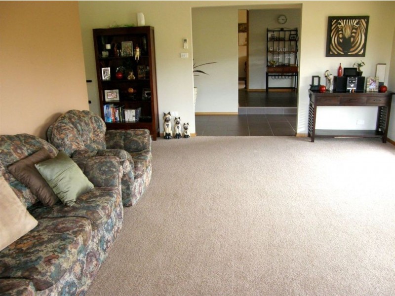 148 Austins Road, Scottsdale TAS 7260