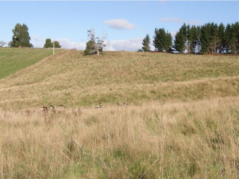 Lot 1 Austins Road, Scottsdale TAS 7260