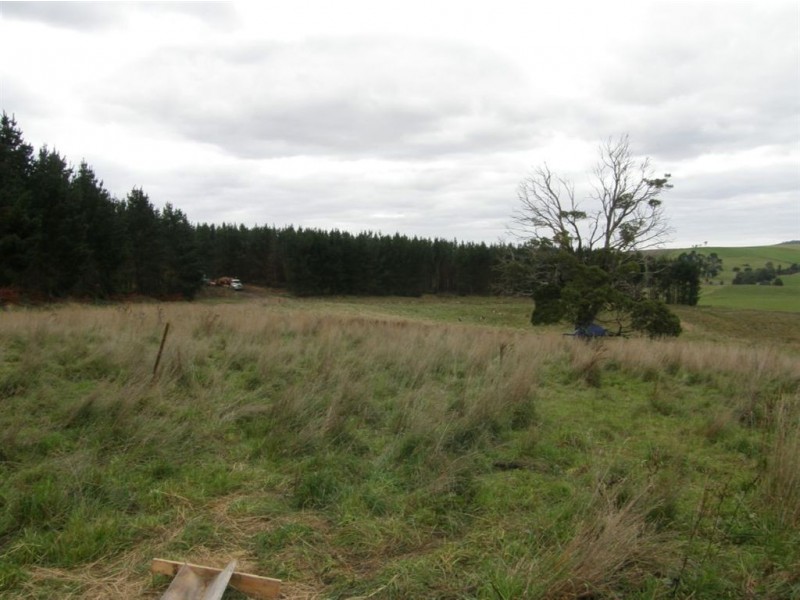 Lot 1 Austins Road, Scottsdale TAS 7260