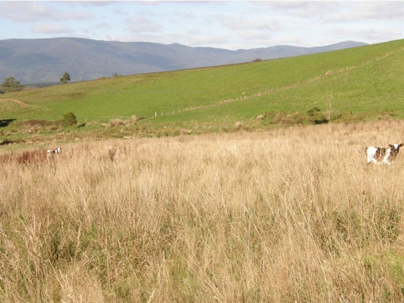 Lot 1 Austins Road, Scottsdale TAS 7260