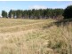 Lot 1 Austins Road, Scottsdale TAS 7260