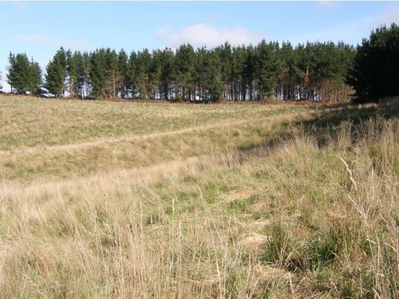 Lot 1 Austins Road, Scottsdale TAS 7260