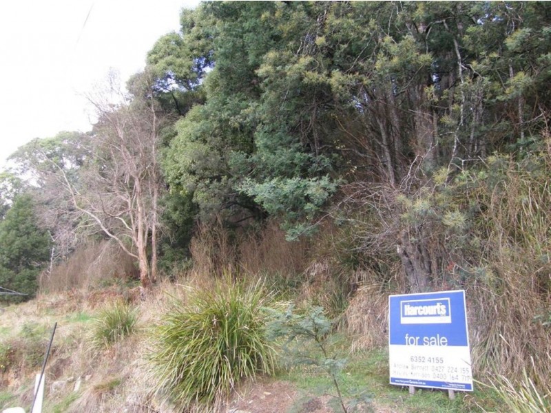 3 Mulhern Street, Derby TAS 7264