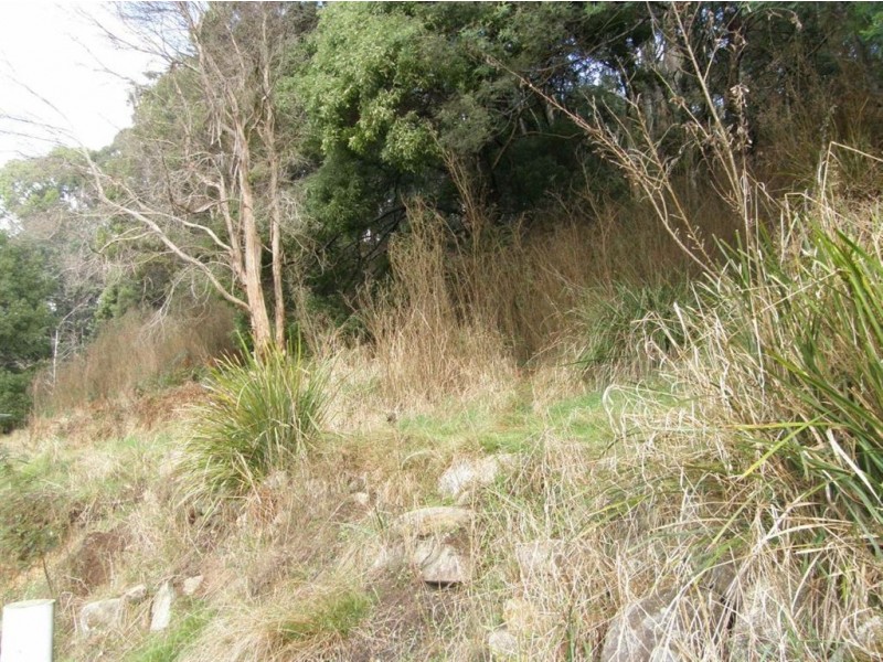 3 Mulhern Street, Derby TAS 7264