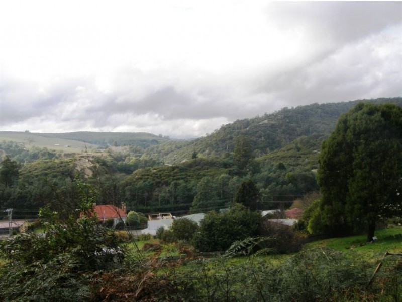 3 Mulhern Street, Derby TAS 7264