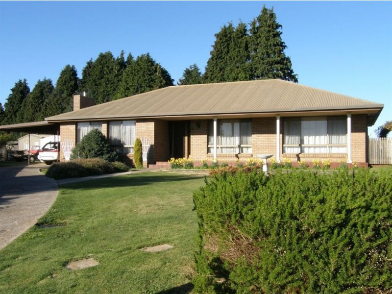 14 Beattie Street, Scottsdale TAS 7260