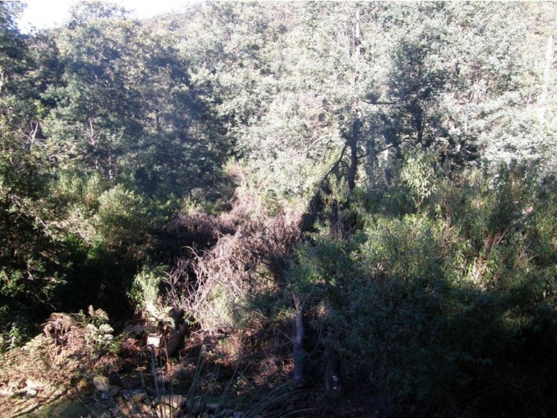 - Mutual Road, Derby TAS 7264