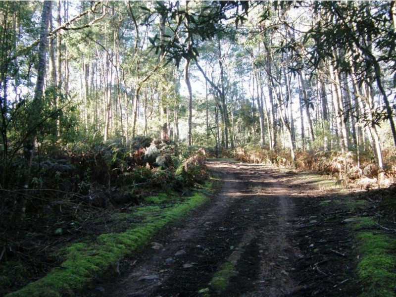 - Mutual Road, Derby TAS 7264