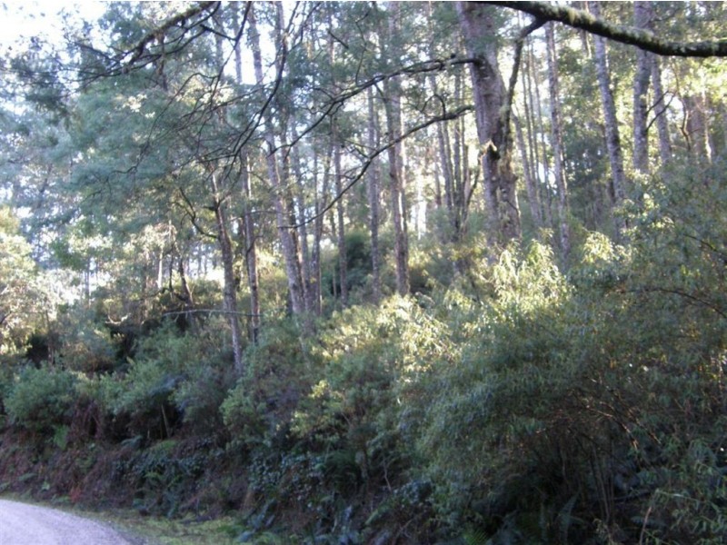 - Mutual Road, Derby TAS 7264