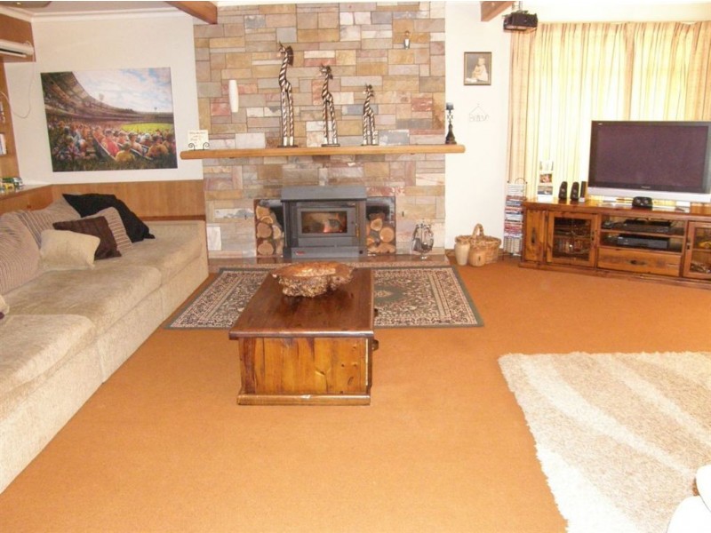 11 Arthur Street, Scottsdale TAS 7260