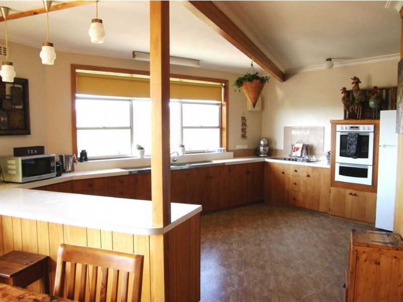 11 Arthur Street, Scottsdale TAS 7260