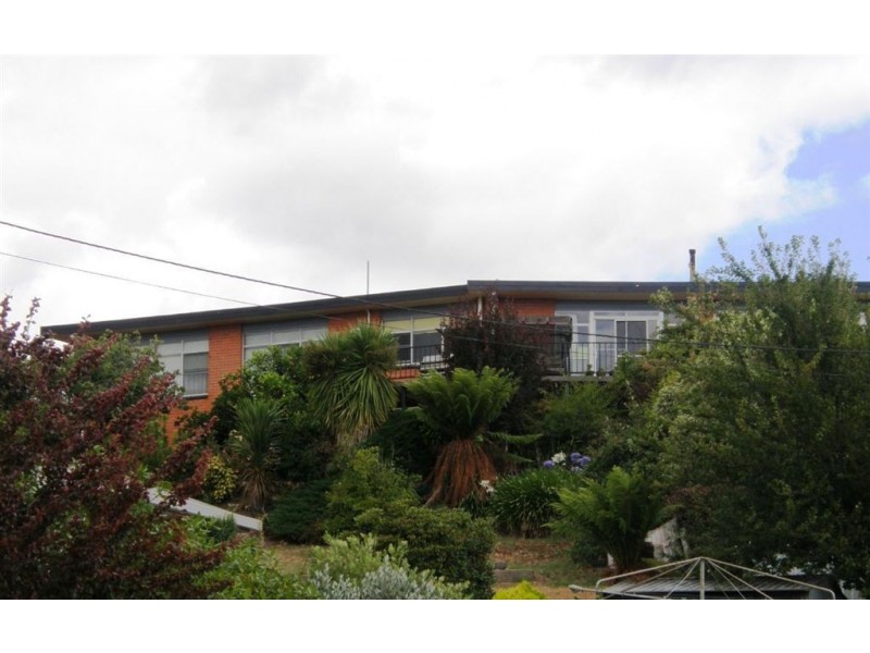 11 Arthur Street, Scottsdale TAS 7260