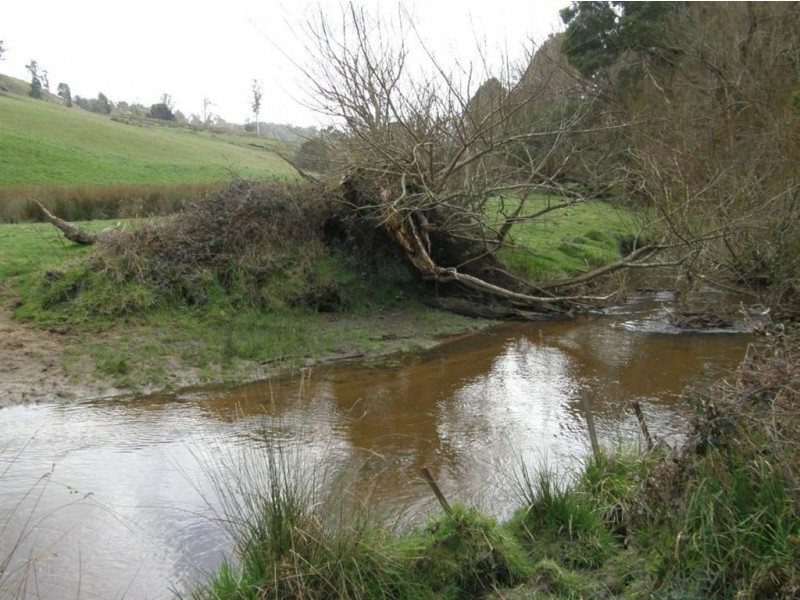 35530 Tasman Highway, Scottsdale TAS 7260