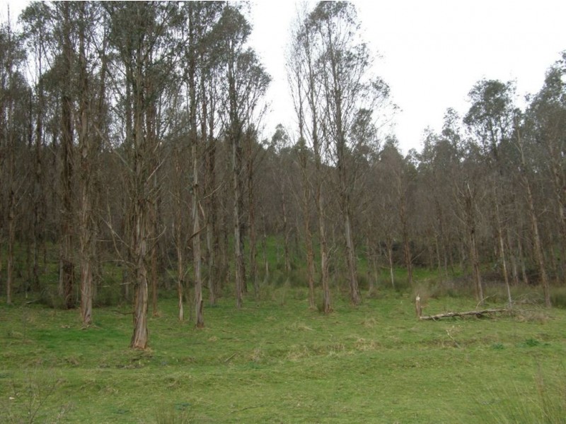 35530 Tasman Highway, Scottsdale TAS 7260