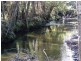 . ” Tiffanys Park” Bridport Back Road, Nabowla TAS 7260