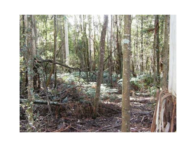 . ” Tiffanys Park” Bridport Back Road, Nabowla TAS 7260