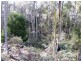 . ” Tiffanys Park” Bridport Back Road, Nabowla TAS 7260