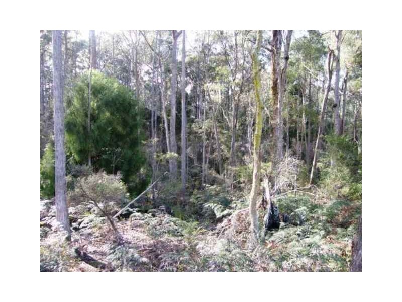 . ” Tiffanys Park” Bridport Back Road, Nabowla TAS 7260