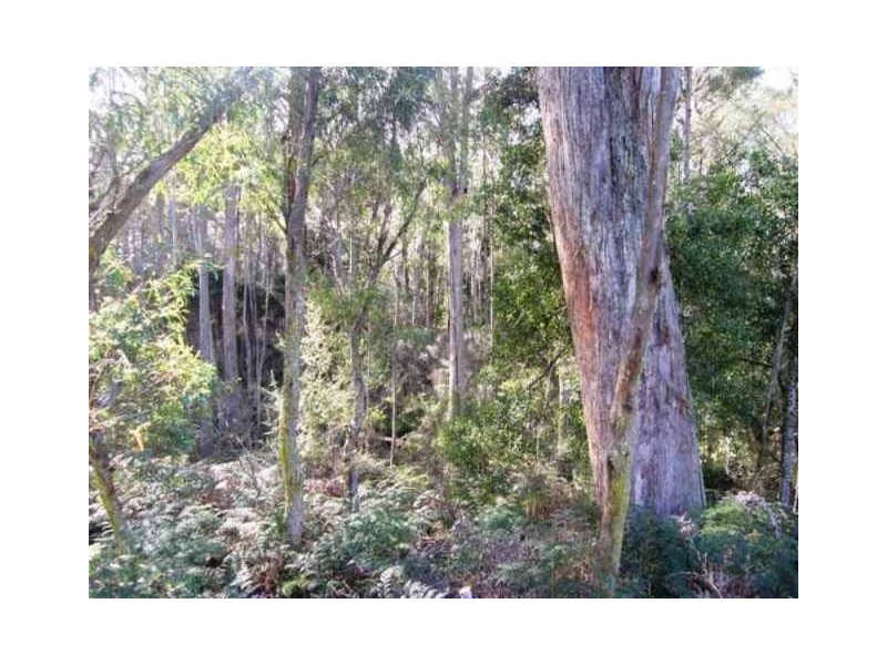 . ” Tiffanys Park” Bridport Back Road, Nabowla TAS 7260