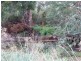 . ” Tiffanys Park” Bridport Back Road, Nabowla TAS 7260