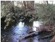 . ” Tiffanys Park” Bridport Back Road, Nabowla TAS 7260