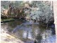. ” Tiffanys Park” Bridport Back Road, Nabowla TAS 7260