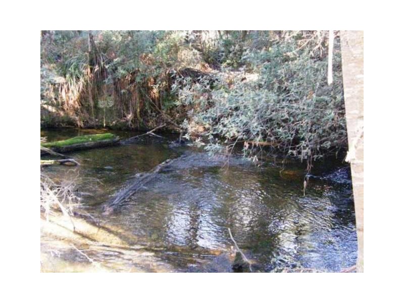 . ” Tiffanys Park” Bridport Back Road, Nabowla TAS 7260