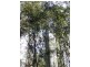 . ” Tiffanys Park” Bridport Back Road, Nabowla TAS 7260