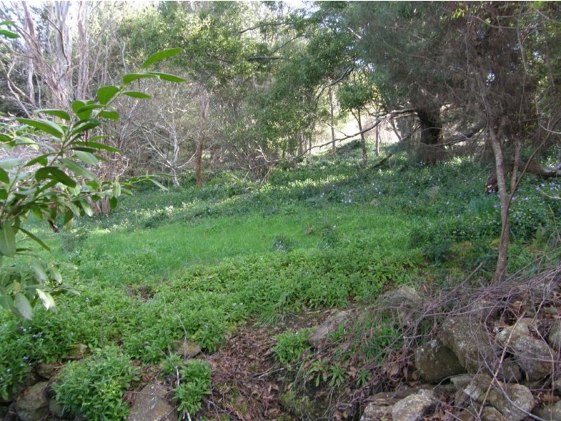 54 Main Street, Derby TAS 7264