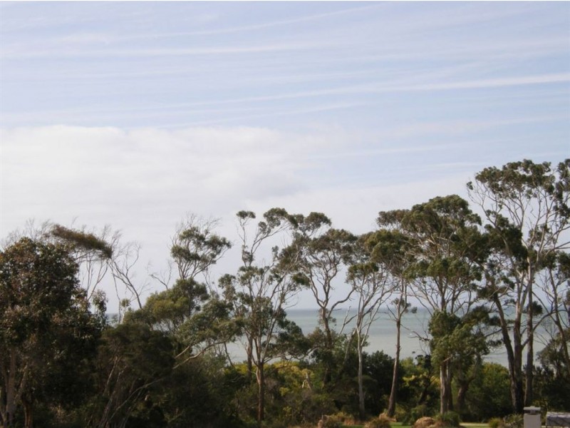 . Henry Street, Bridport TAS 7262