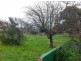 2989 Waterhouse Rd, Waterhouse TAS 7262
