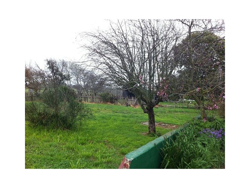 2989 Waterhouse Rd, Waterhouse TAS 7262