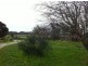 2989 Waterhouse Rd, Waterhouse TAS 7262