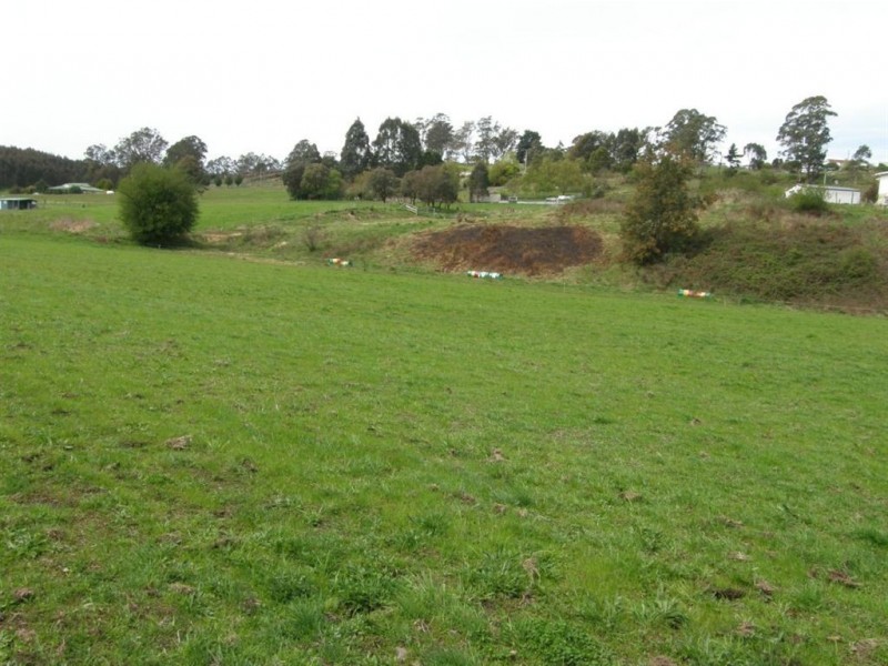 7 Pearce Street, Branxholm TAS 7261