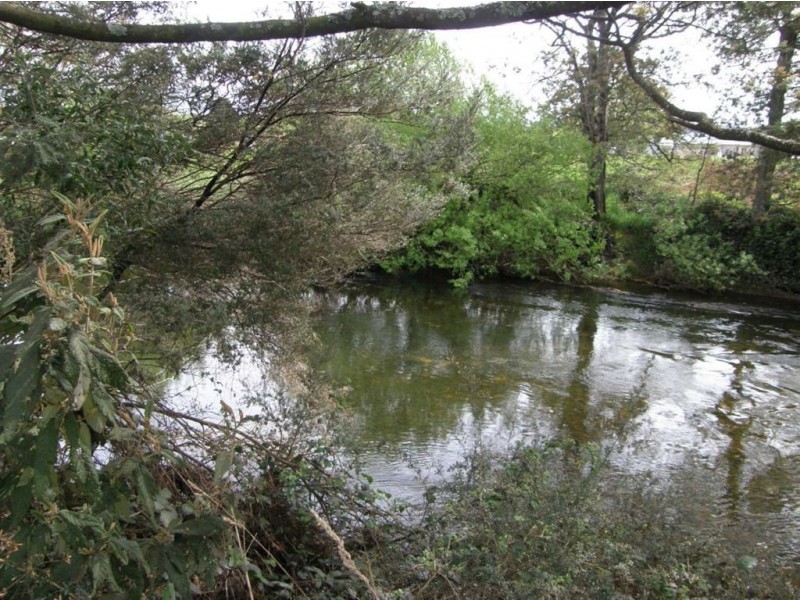 7 Pearce Street, Branxholm TAS 7261