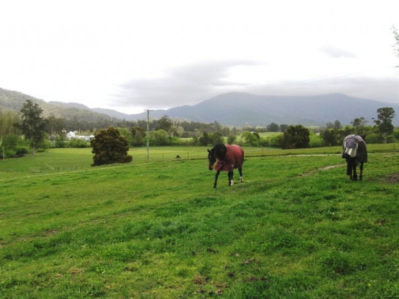 34611 Tasman Highway, Scottsdale TAS 7260