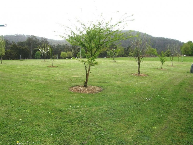 34611 Tasman Highway, Scottsdale TAS 7260