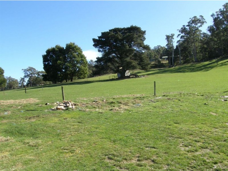 2579 Golconda Rd, Nabowla TAS 7260