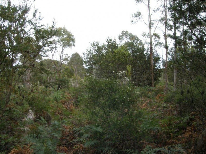 . North Ansons Road, Gladstone TAS 7264