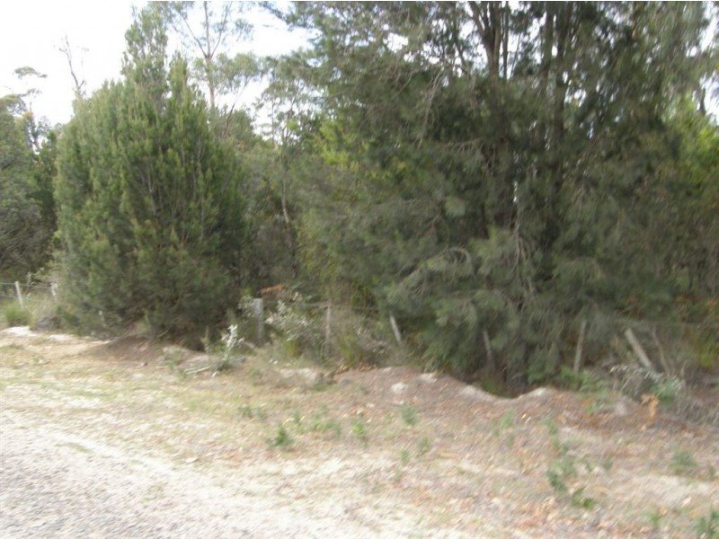 . North Ansons Road, Gladstone TAS 7264
