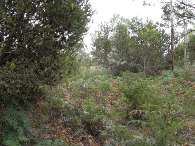 . North Ansons Road, Gladstone TAS 7264