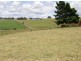 65 Main Street, Winnaleah TAS 7265