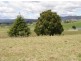 65 Main Street, Winnaleah TAS 7265