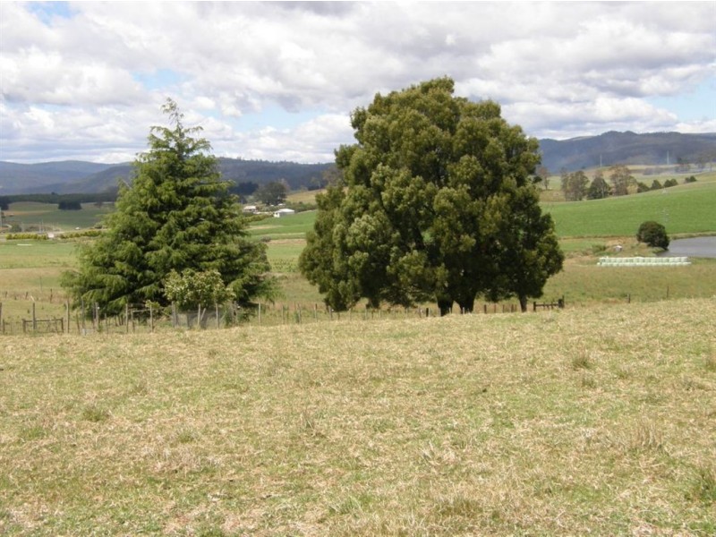 65 Main Street, Winnaleah TAS 7265