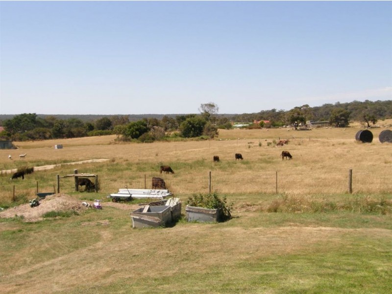 14 Chaffey Street, Gladstone TAS 7264